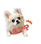 NICO's stamps2（個別スタンプ：2）