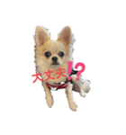 NICO's stamps2（個別スタンプ：7）