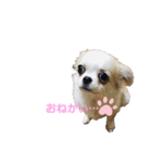 NICO's stamps2（個別スタンプ：11）