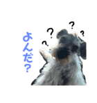 そらくんの毎日（個別スタンプ：4）