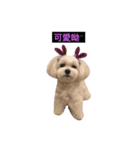 可愛的瑪爾妮妮（個別スタンプ：7）