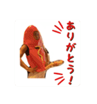 ゆうぱんすたんぷ第一弾（個別スタンプ：11）