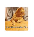 ゆうぱんすたんぷ第一弾（個別スタンプ：19）
