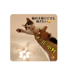 ゆうぱんすたんぷ第一弾（個別スタンプ：20）