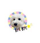 ぼーっとくぅちゃん（個別スタンプ：1）