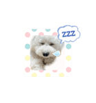 ぼーっとくぅちゃん（個別スタンプ：2）