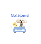 ぼーっとくぅちゃん（個別スタンプ：3）