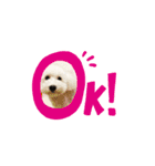 ぼーっとくぅちゃん（個別スタンプ：13）