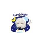 ぼーっとくぅちゃん（個別スタンプ：16）