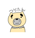 流行語使いたがりロロナちゃん（個別スタンプ：24）