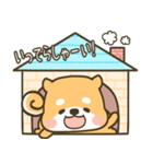 ぽっちゃり癒やし わんこ（個別スタンプ：35）