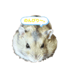 ハムスターの1日。（個別スタンプ：2）