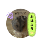 ハムスターの1日。（個別スタンプ：3）