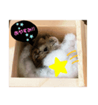 ハムスターの1日。（個別スタンプ：4）