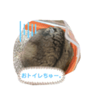 ハムスターの1日。（個別スタンプ：8）
