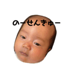 大福べいびー（個別スタンプ：1）