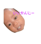 大福べいびー（個別スタンプ：9）