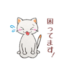 ヨガスタジオユニオンオフィシャルスタンプ（個別スタンプ：19）