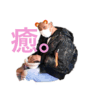 チャンシュー君（個別スタンプ：12）