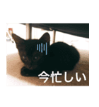 愛しのごっちゃんスタンプ（個別スタンプ：4）
