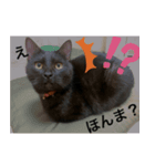 愛しのごっちゃんスタンプ（個別スタンプ：7）