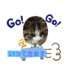 ミータ郎ファミリー3（個別スタンプ：3）