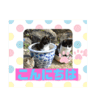 ミータ郎ファミリー3（個別スタンプ：5）