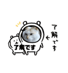 ミータ郎ファミリー3（個別スタンプ：9）