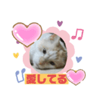ミータ郎ファミリー3（個別スタンプ：12）