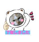 ミータ郎ファミリー3（個別スタンプ：14）