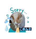 ミータ郎ファミリー3（個別スタンプ：26）