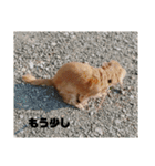 いなかのまりぼー4（個別スタンプ：14）
