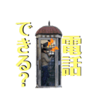 山田村ゼロハンツーリングクラブ第2弾（個別スタンプ：16）