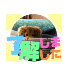 I am Qoo♡（個別スタンプ：6）