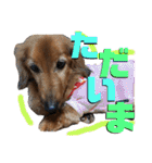 I am Qoo♡（個別スタンプ：10）