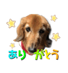 I am Qoo♡（個別スタンプ：14）