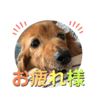 I am Qoo♡（個別スタンプ：17）