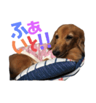 I am Qoo♡（個別スタンプ：18）