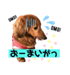 I am Qoo♡（個別スタンプ：20）