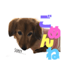 I am Qoo♡（個別スタンプ：21）