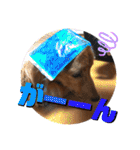 I am Qoo♡（個別スタンプ：24）