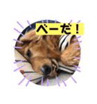 I am Qoo♡（個別スタンプ：26）