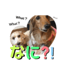 I am Qoo♡（個別スタンプ：28）