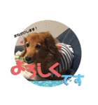 I am Qoo♡（個別スタンプ：32）