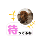 I am Qoo♡（個別スタンプ：38）