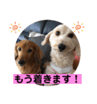 I am Qoo♡（個別スタンプ：40）
