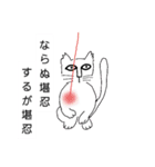 しもべにゃんこ（個別スタンプ：6）