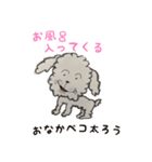 Sayamoon オリジナルスタンプ（個別スタンプ：1）