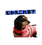 モカとクッキー（個別スタンプ：3）