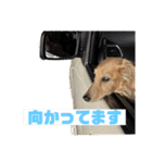 モカとクッキー（個別スタンプ：4）